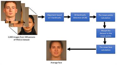 The contribution of different face parts to deep face recognition